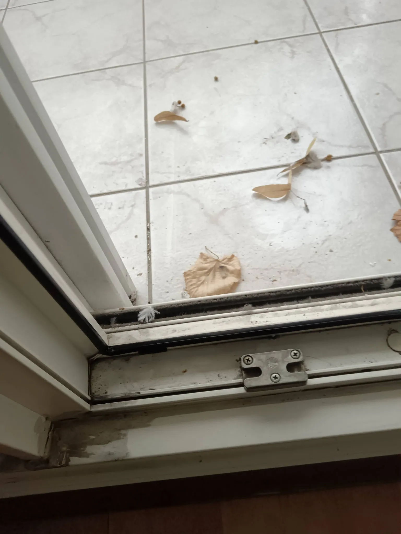 Ablakjavítás munkák 10